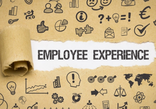 Investir no Employee Experience garante excelente retorno para as empresas