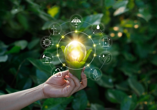 A tal da TI Verde: 8 dicas para chegar lá!